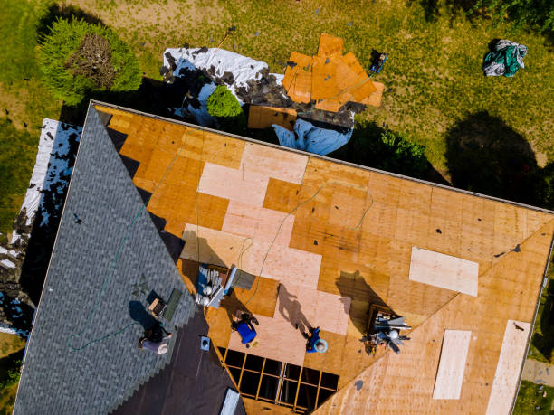 Best Metal Roofing Contractor  in Bolindale, OH
